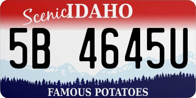 ID license plate 5B4645U