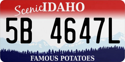 ID license plate 5B4647L