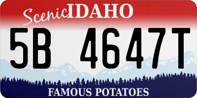 ID license plate 5B4647T