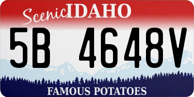 ID license plate 5B4648V