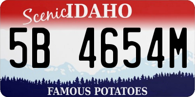 ID license plate 5B4654M
