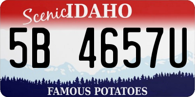 ID license plate 5B4657U