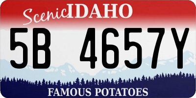 ID license plate 5B4657Y