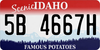ID license plate 5B4667H