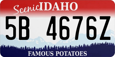 ID license plate 5B4676Z