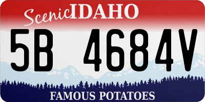 ID license plate 5B4684V