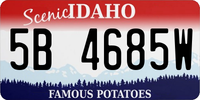 ID license plate 5B4685W