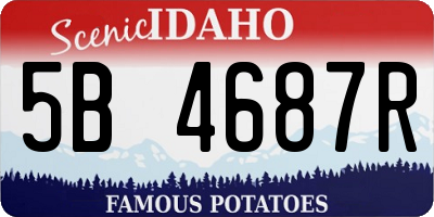 ID license plate 5B4687R