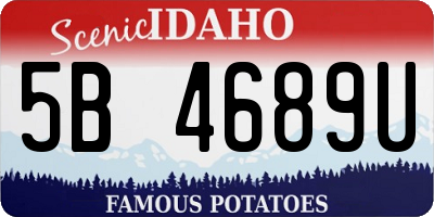 ID license plate 5B4689U