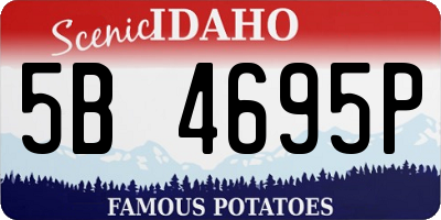 ID license plate 5B4695P