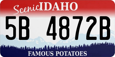 ID license plate 5B4872B