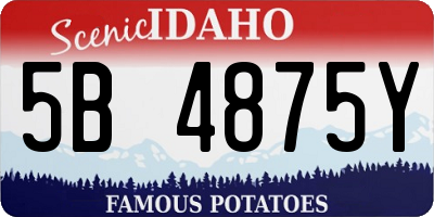 ID license plate 5B4875Y