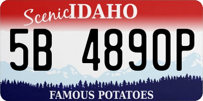 ID license plate 5B4890P