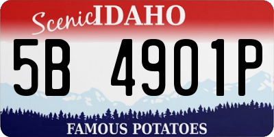 ID license plate 5B4901P