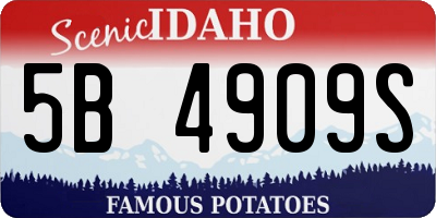 ID license plate 5B4909S