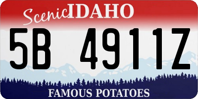 ID license plate 5B4911Z