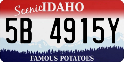 ID license plate 5B4915Y