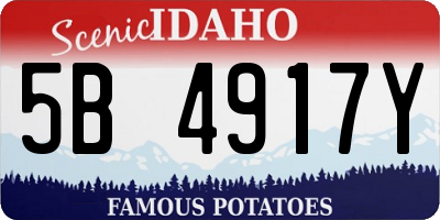 ID license plate 5B4917Y