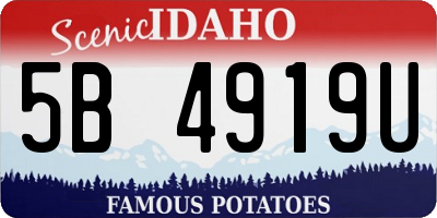 ID license plate 5B4919U