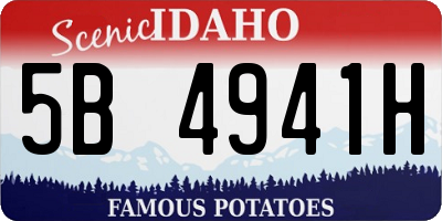 ID license plate 5B4941H