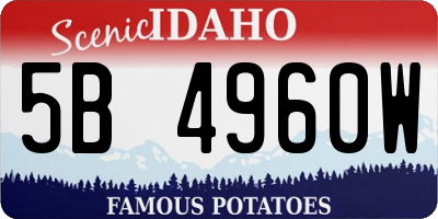 ID license plate 5B4960W