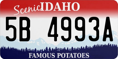 ID license plate 5B4993A
