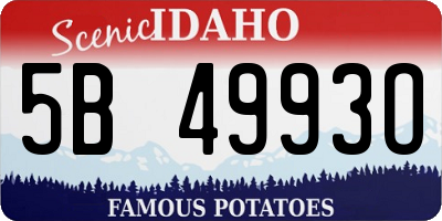 ID license plate 5B4993O