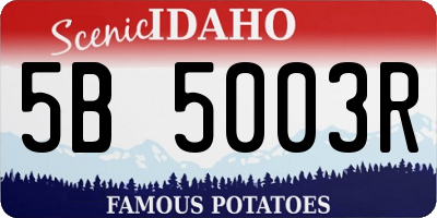 ID license plate 5B5003R