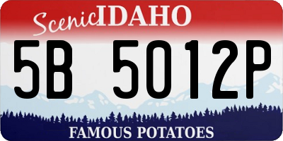 ID license plate 5B5012P
