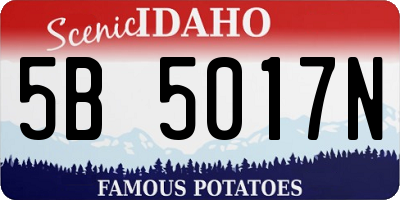 ID license plate 5B5017N