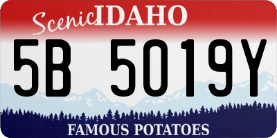 ID license plate 5B5019Y