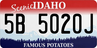 ID license plate 5B5020J