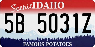 ID license plate 5B5031Z