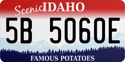 ID license plate 5B5060E
