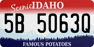 ID license plate 5B5063Q