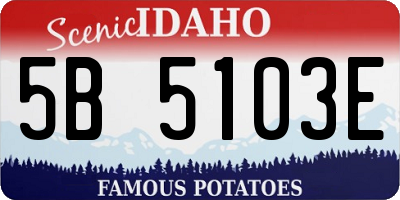 ID license plate 5B5103E