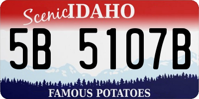 ID license plate 5B5107B
