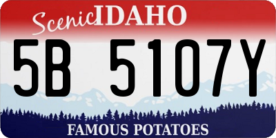 ID license plate 5B5107Y