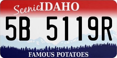 ID license plate 5B5119R