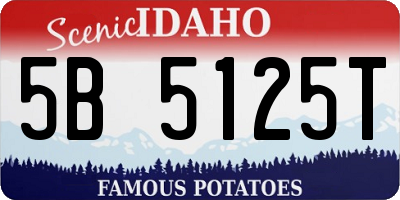 ID license plate 5B5125T