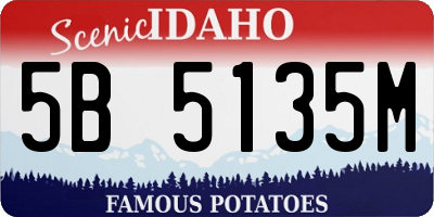 ID license plate 5B5135M
