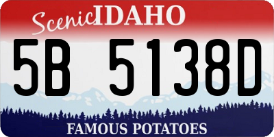 ID license plate 5B5138D