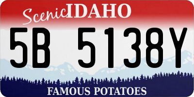 ID license plate 5B5138Y