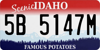 ID license plate 5B5147M