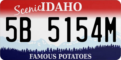 ID license plate 5B5154M