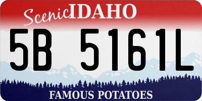 ID license plate 5B5161L