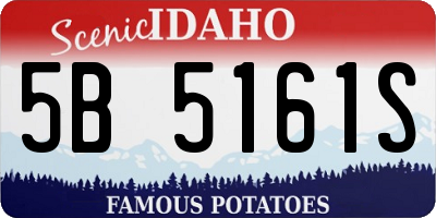 ID license plate 5B5161S