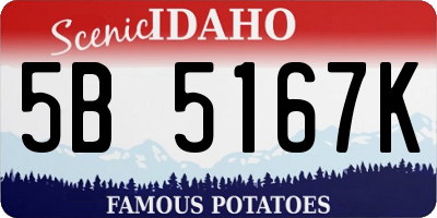 ID license plate 5B5167K