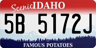 ID license plate 5B5172J