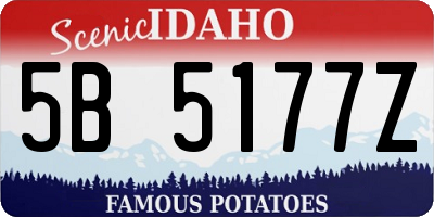 ID license plate 5B5177Z